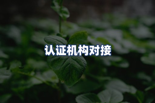 认证机构对接