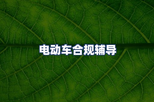 电动车合规辅导