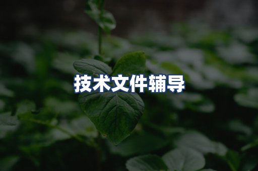 技术文件辅导